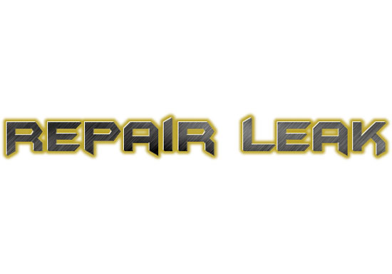 Repair Leak logo